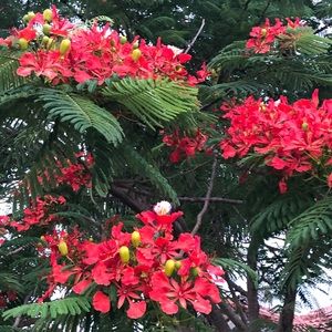 Meet your Posher, Irina